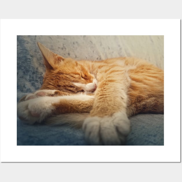 Orange kitten sleeping sweet Wall Art by psychoshadow